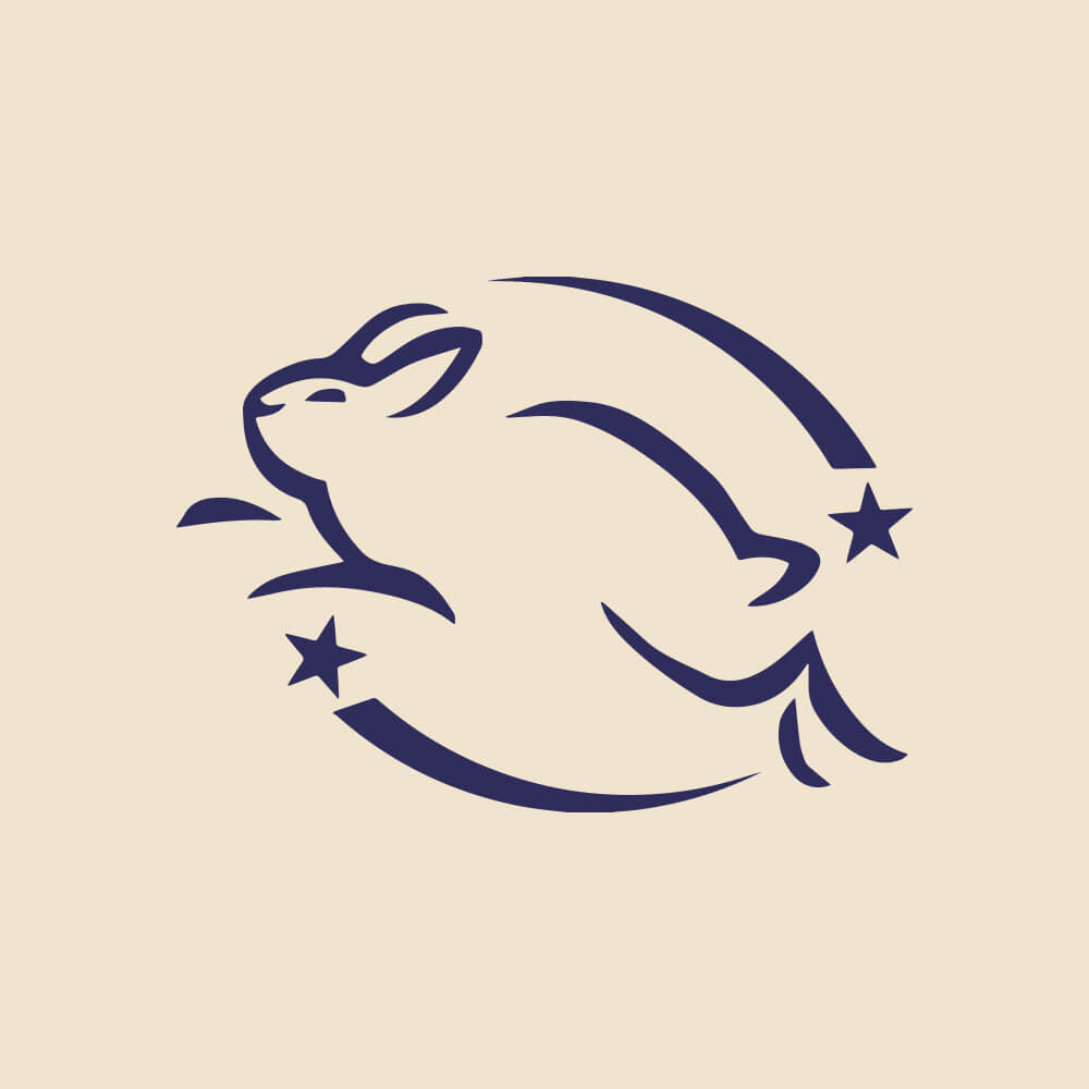 Leaping Bunny bunny
