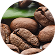 close up of coffee beans